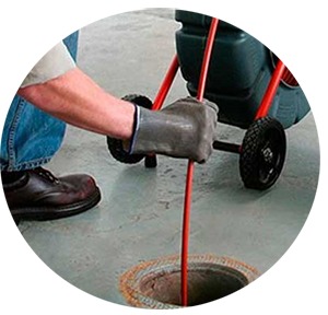 WhatsApp Image 2025-09-26 at 08.41.48.jpeg